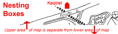Link to kestrel info and images
