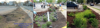 photos of Arlington rain garden construction