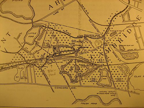1901 map of FP Marshes (detail)