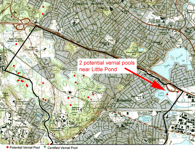 Vernal pool map - including potential pools near Little Pond